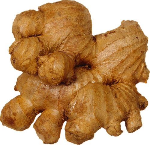 Natural Brown Ginger, For Cooking, Shelf Life : 10-15 Days