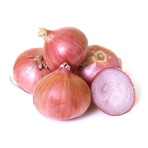 Pink Onion, For Food, Shelf Life : 7-15 Days
