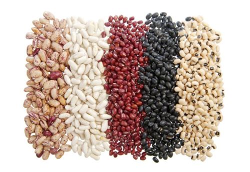 Natural White Red Black Kidney Beans