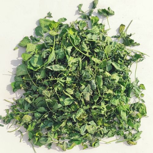 Kasuri Methi Leaves, Color : Green