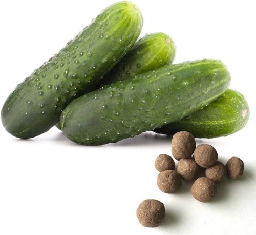 Cucumber Seed Balls, For Human Consumption