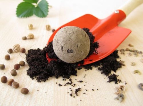 Mango Seed Balls, Style : Preserved