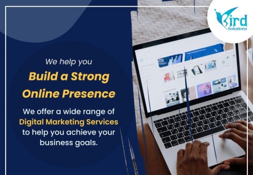 Web Development Services