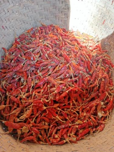 Raw Organic Dried Red Chilli, For Cooking, Grade Standard : Food Grade