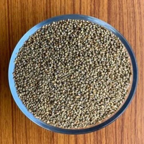 Green Dried Bajra Seeds, For Agriculture, Shelf Life : 9months