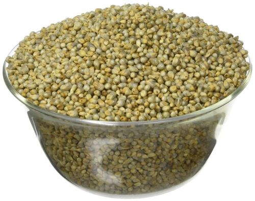 Organic Green Bajra Seeds, For Agriculture, Style : Dried