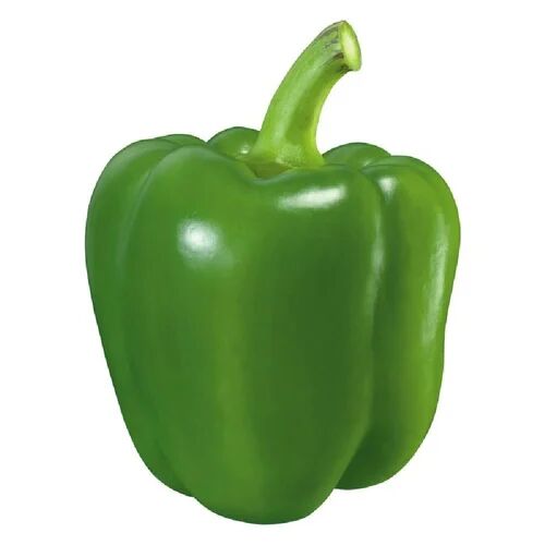 Fresh Green Capsicum, Packaging Size : 10 Kg