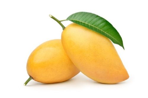 Natural Fresh Mango, Packaging Size : 10 Kg