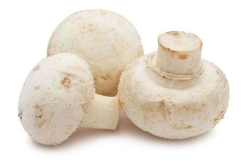 Fresh White Button Mushroom, Quality Available : A Grade