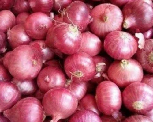 Red Onion, Packaging Size : 50kg