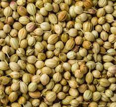 Light Brown Premium Coriander Seed, For Spices, Shelf Life : 2 Year