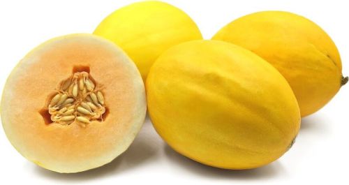 Yellow Muskmelon, For Cooking, Food Medicine, Certification : FSSAI Certified