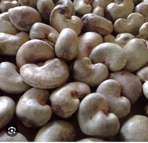 Solid Curve Natural Raw Cashew, For Sweets, Packaging Type : Sachet Bag