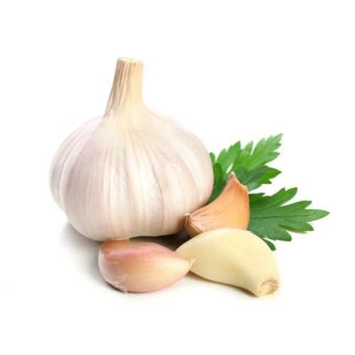 Off White Fresh Garlic, For Cooking, Packaging Type : Gunny Bags