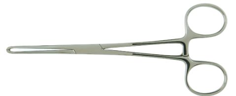 Allis Tissue Forcep, Packaging Type : Packet Boxes