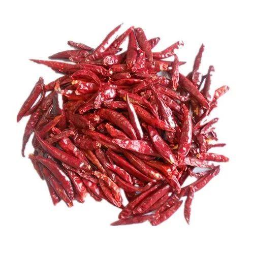 Raw Red Chilli, For Cooking, Spices Human Consumption, Shelf Life : 6months