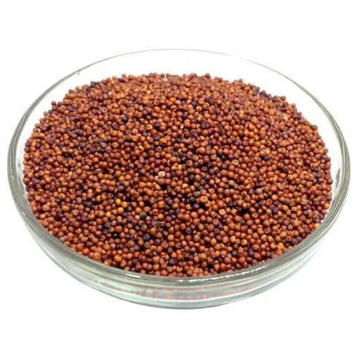 Brown Organic Stone Age Finger Millet, For Cooking, Cattle Feed, Style : Dried