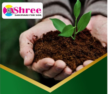 SHREE Vermicompost Fertilizer for FARM, POTS, NURSERY