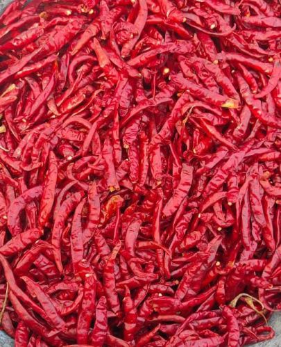 Common Guntur Red Chilli Teja, For Cooking, Fast Food, Food, Powder, Packaging Size : 30 Kgs