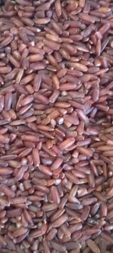 Soft Bridegroom Rice, Packaging Size : 5kg, 10kg, 20kg, 50kg