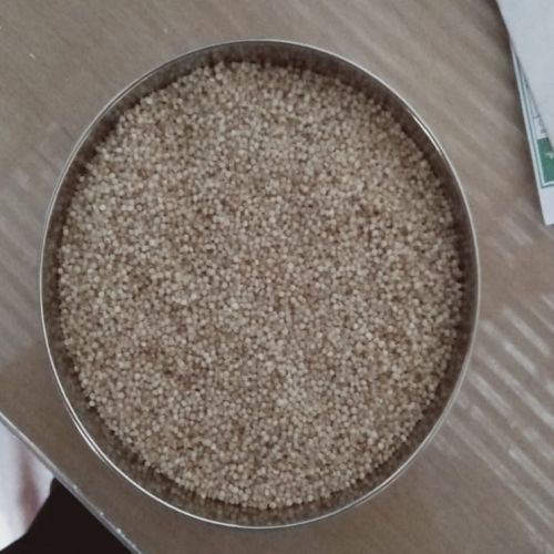 Common Organic Little Millet, Shelf Life : 9months