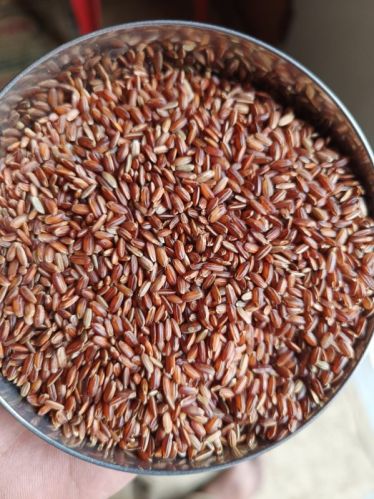 Solid Hard Red Rice, For Cooking, Food, Human Consumption