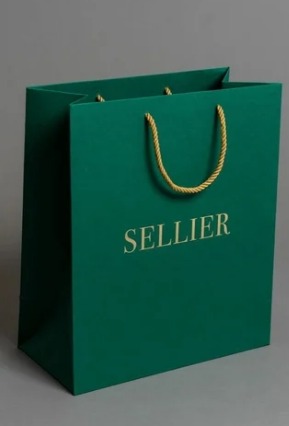 Stylish Green Printed Paper Bag, For Shopping, Household