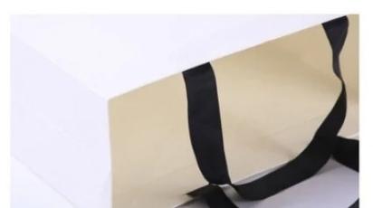 Non Zipper Stylish White Paper Bag, For Shopping, Household, Capacity : 2 Kg