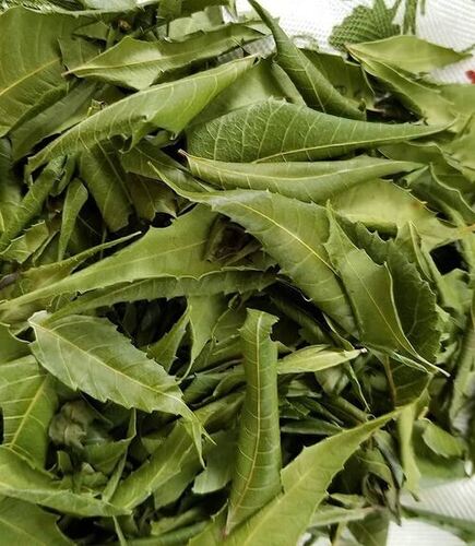 Green Dried Neem Leaves, For Cosmetic, Medicine, Beauty, Medicinal, Gender : Unisex