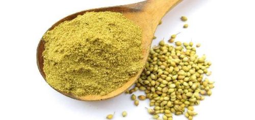 Indian Coriander Powder, Packaging Size : 20 Kg