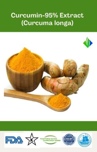 Yellow CTA Powder Curcumin 95% Extract, For Food, Shelf Life : 2 Years