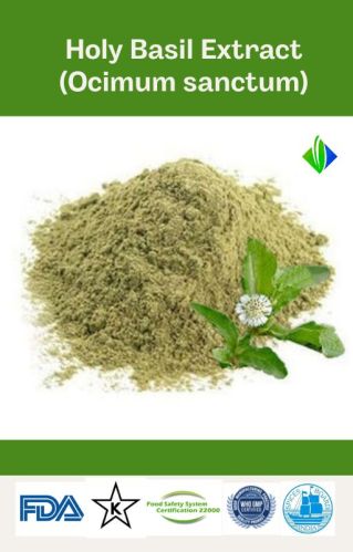 Green Powder Organic Holy Basil Extract, For Medicinal, Shelf Life : 2 Year