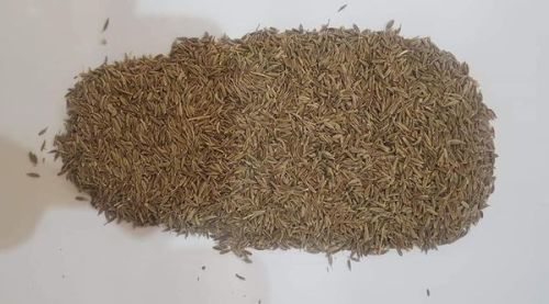 Organic Cumin Seeds, Brand Name : Natural, Packaging Size : 250gm