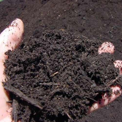 Bio Organic Fertilizer, For Agriculture, Purity : 100%