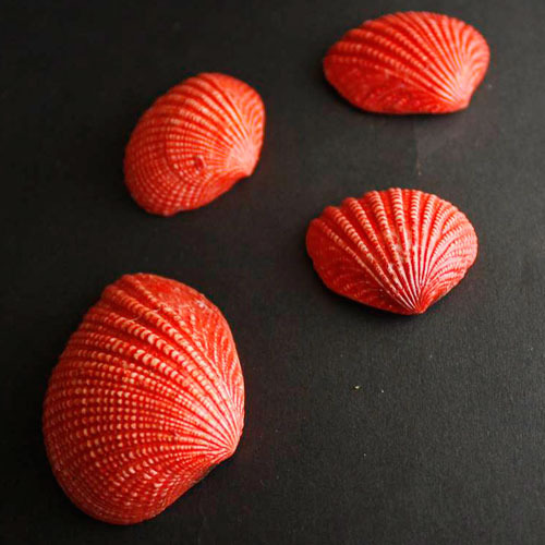 Red Mermaid Natural Seashell, Packaging Type : Plastic Box