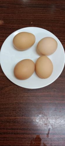 Eggs, For Bakery Use, Shelf Life : 3months