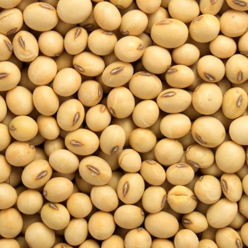 Soybean Meal, For Animal Feed, Packaging Size : 25kg - 50kg