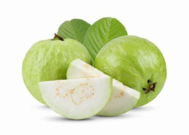 Green Oval Organic Fresh Guava, For Cooking, Food Medicine, Cosmetics, Packaging Type : Jute Bag