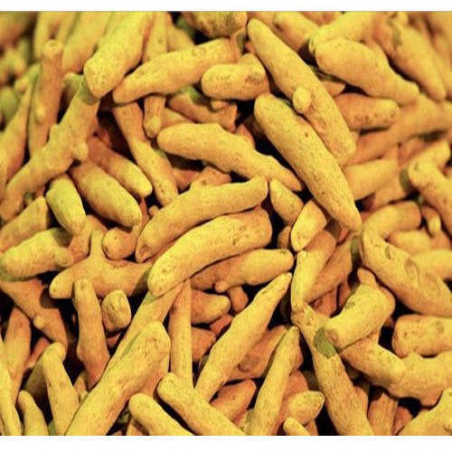 Yellow Solid Turmeric Finger, For Cooking, Spices, Packaging Type : PP Bags