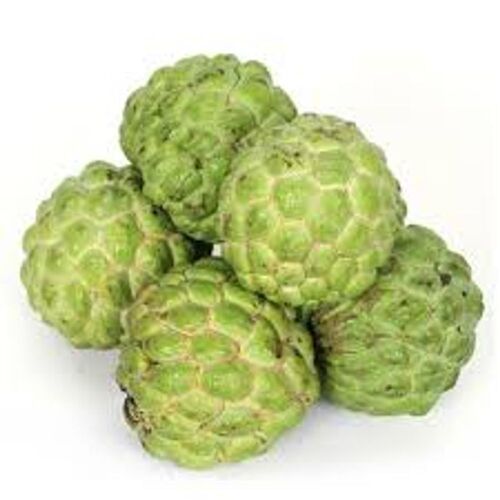 Green Organic Fresh Custard Apple, For Human Consumption, Shelf Life : 10 Days