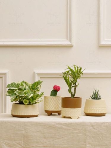 Maatti Handicrafts Matte Painted Aesthetics Terracotta Clay Pot