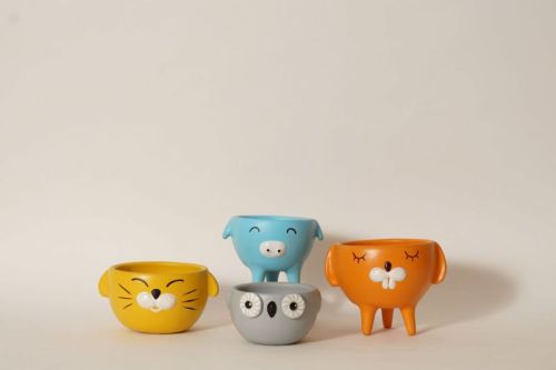 Animal Shape Terracotta Clay Pot