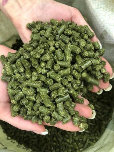 Alfalfa Pellets, Packaging Size : 25-50 Kg