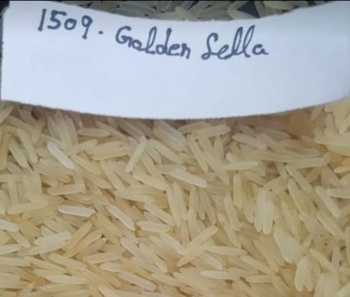 Organic 1509 Golden Sella Rice, Packaging Type : Jute Bags