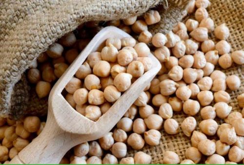 Natural Fresh Chickpeas, For Cooking, Style : Raw