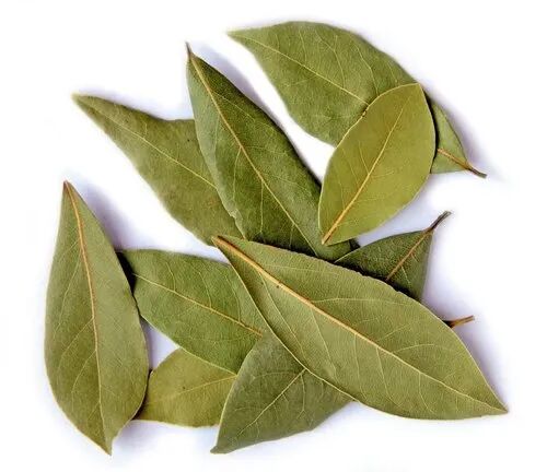 Green Natural Bay Leaf, For Cooking, Packaging Type : Plastic Packet