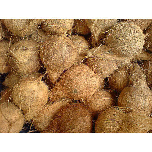 Natural Semi Husked Coconut, For Pooja, Medicines, Cosmetics, Cooking, Packaging Type : Gunny Bags