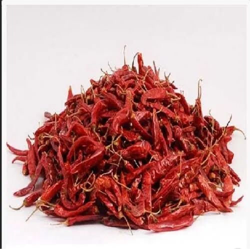 Raw Red Chilli, For Cooking, Shelf Life : 6months, 1year