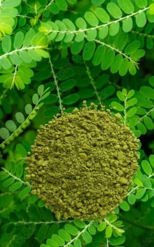 Green Organic Bhumi Amla Powder, For Medicine, Purity : 100%