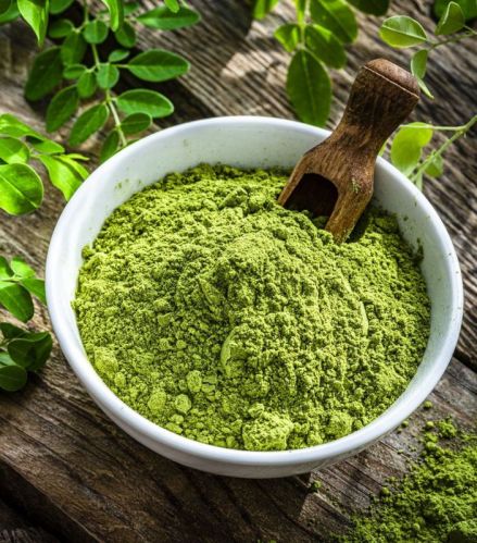 Green Organic Moringa Powder, For Medicinal Use, Style : Dried